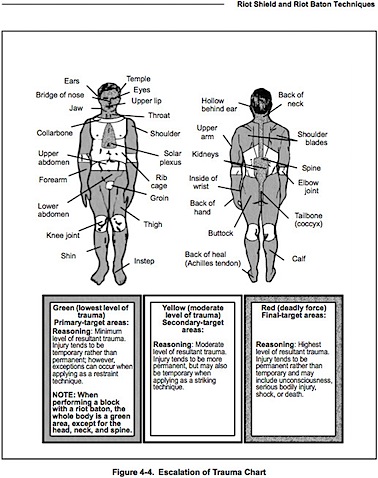 2005-army-manual-trauma-riotcontrol.jpg