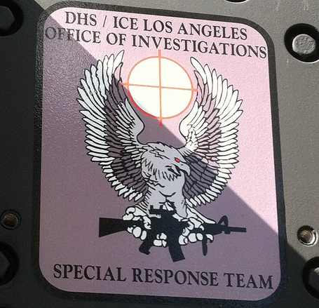 dhs-ice-srt.png