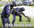 LOLcats stop for no one